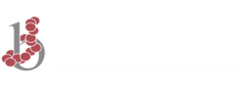 logotipo_centro_de_bariatria